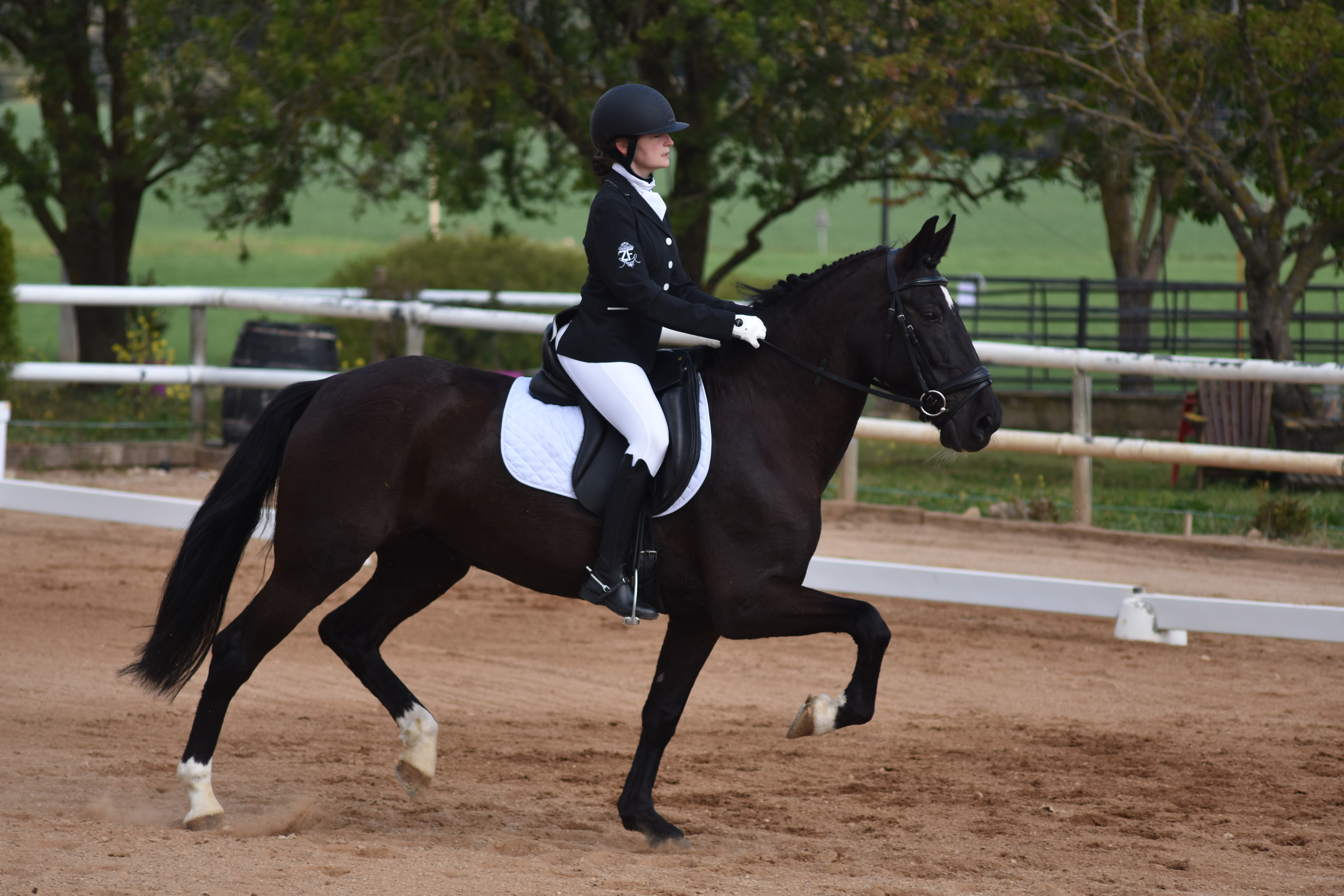 Más fotos de la Primera Fase de Doma Clásica en Acedo